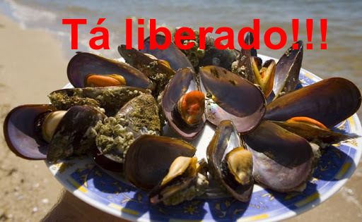 Tá Liberado: Secretaria da Agricultura e Pesca libera o consumo de mariscos e ostras de cultivo das praias de Armação e Alegre de Penha