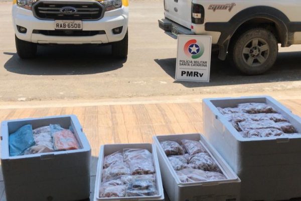 Caminhonete com placas de Penha é flagrada pela PMR transportando pescados de forma irregular