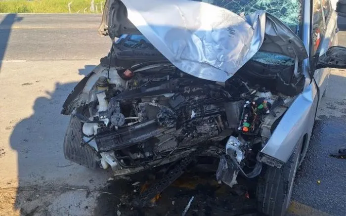 Motorista morre ao bater em poste na rodovia que liga Brusque a Gaspar
