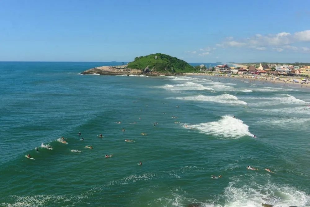 Educação, engajamento e parcerias pela conservação dos mares