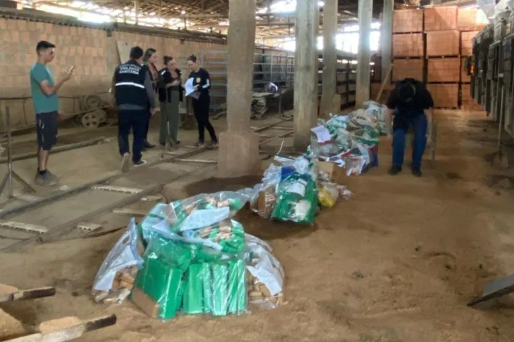 Polícia incinera uma tonelada de drogas em Camboriú