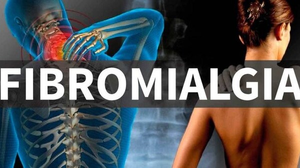 Câmara de Penha aprova projeto que institui cartão de identificação para pessoas com fibromialgia