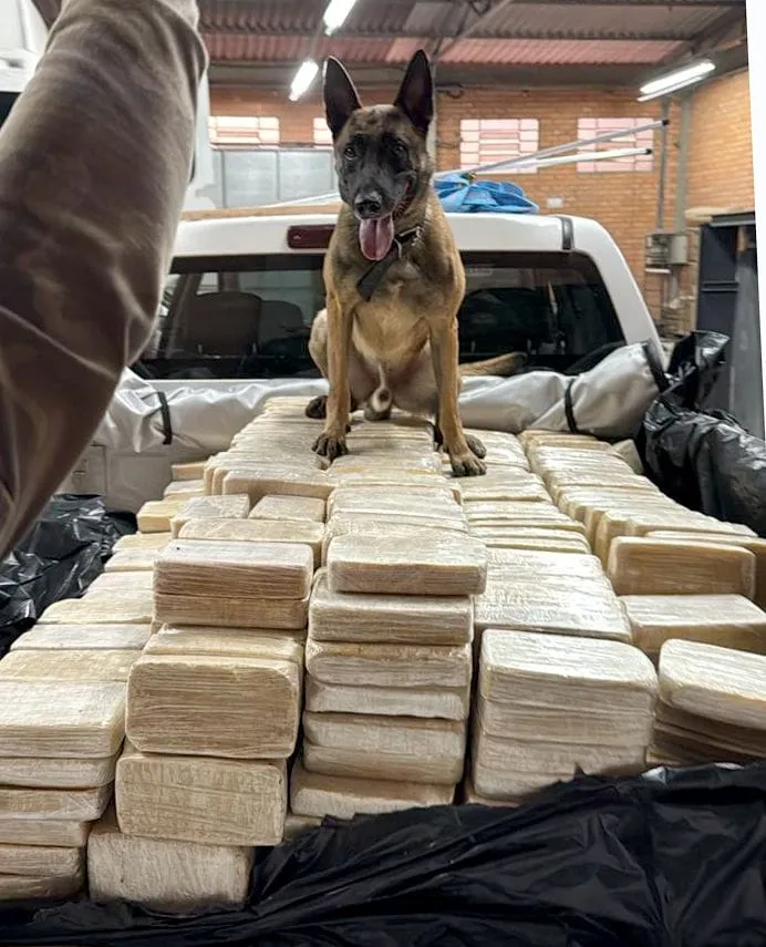 PF descobre bunker com mais de 600 quilos de cocaína em galpão de empresa em Blumenau