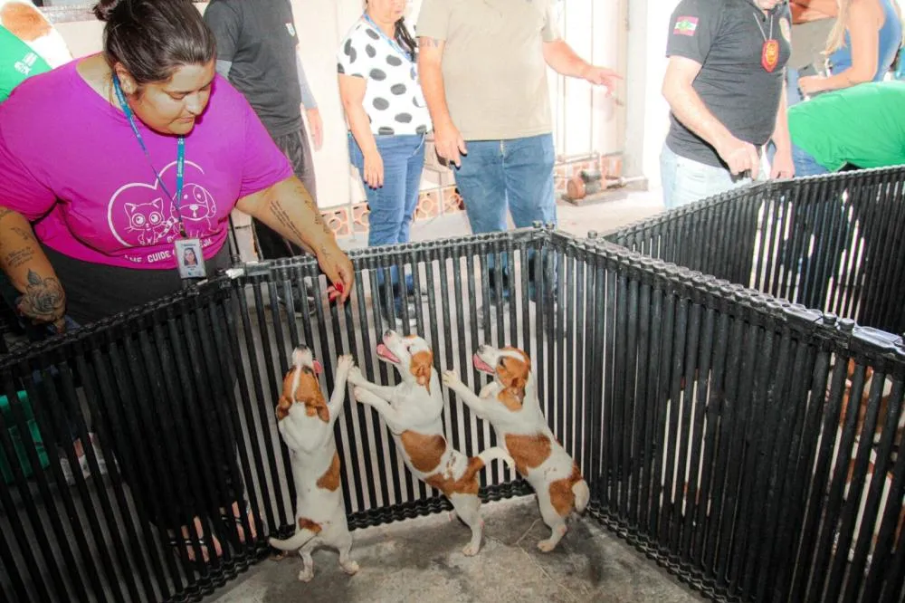 Polícia fecha canis clandestinos em Navegantes e Blumenau