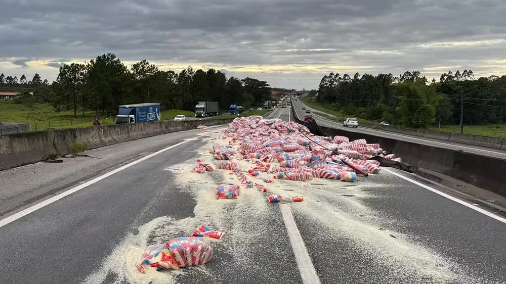 Carga de sacos de arroz tomba e bloqueia as duas faixas da BR-101 em Araquari