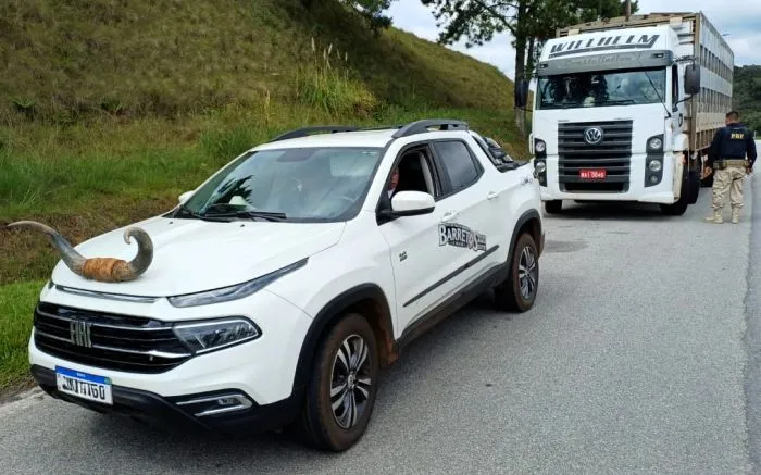 Picape com chifre de boi no capô é flagrada na BR-282 em Rancho Queimado