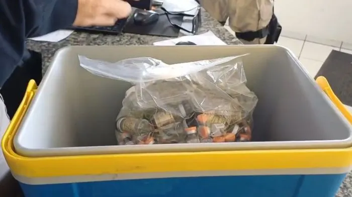 PRF intercepta carga ilegal de anabolizantes e remédios para emagrecer em Joinville