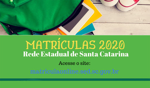 Rede Estadual de Ensino divulga datas de matrículas e rematrículas para 2021