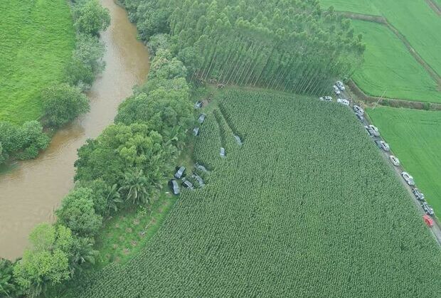 Assalto BB: Polícia localiza em um milharal 10 veículos usados na fuga da quadrilha que explodiu o Banco do Brasil de Criciúma