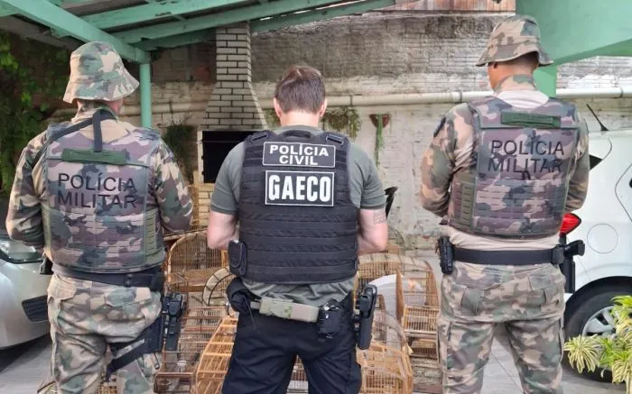 Barra Velha, Barra do Sul, Itajaí e Navegantes foram alvo da operação do Gaeco em combate ao tráfico de animais raros