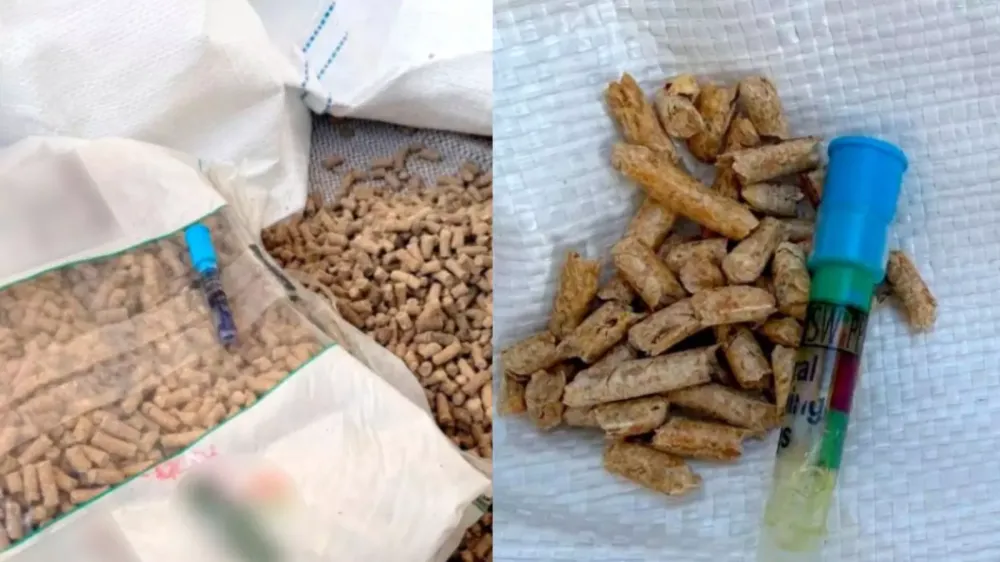 Receita Federal apreende 1,6 tonelada de cocaína no Porto de Itapoá