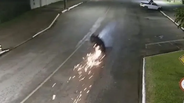 Casal morre em acidente de moto em frente ao Parque Ecológico em Itajaí 
