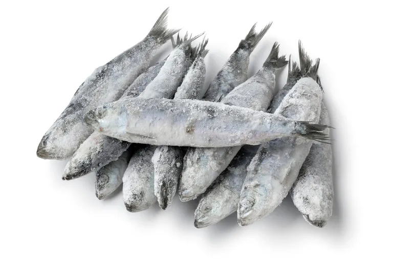 Anvisa manda recolher lote de sardinha congelada da JMS de Penha