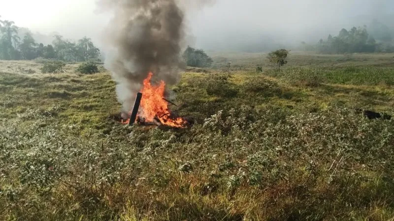 Helicóptero cai em Pomerode e piloto morre carbonizado 