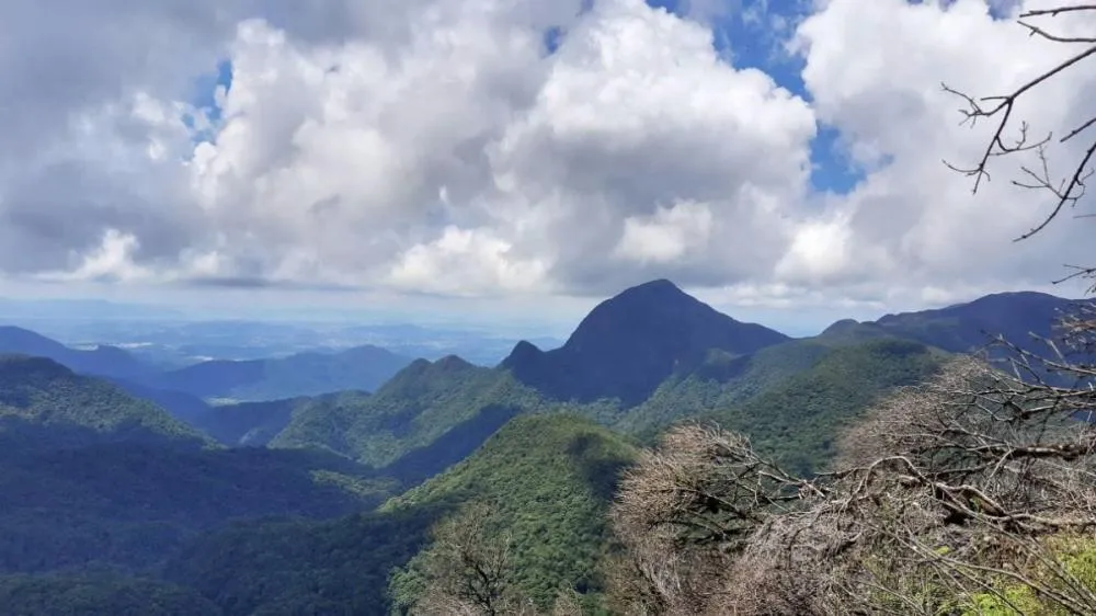Relógio dá pista de paradeiro de trilheiro que está desaparecido no Morro Pelado em Joinville