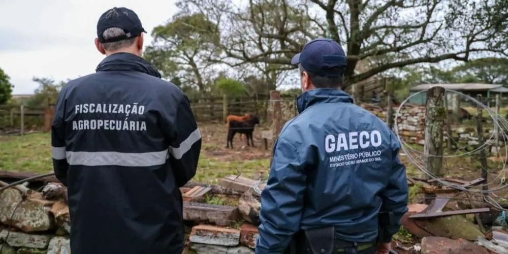 Joinville e Palhoça são alvos da Operação Boi Fantasma do Gaeco