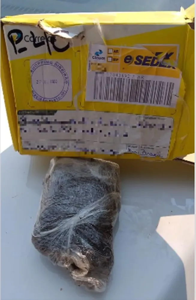 Maconha enviada por correspondência é descoberta em Blumenau