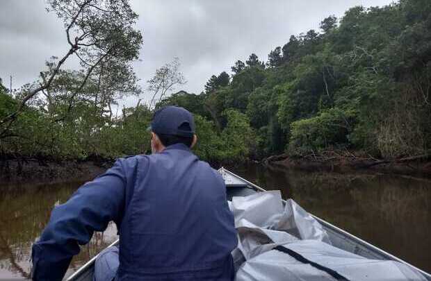 Catador de caranguejos é encontrado morto em mangue de Araquari