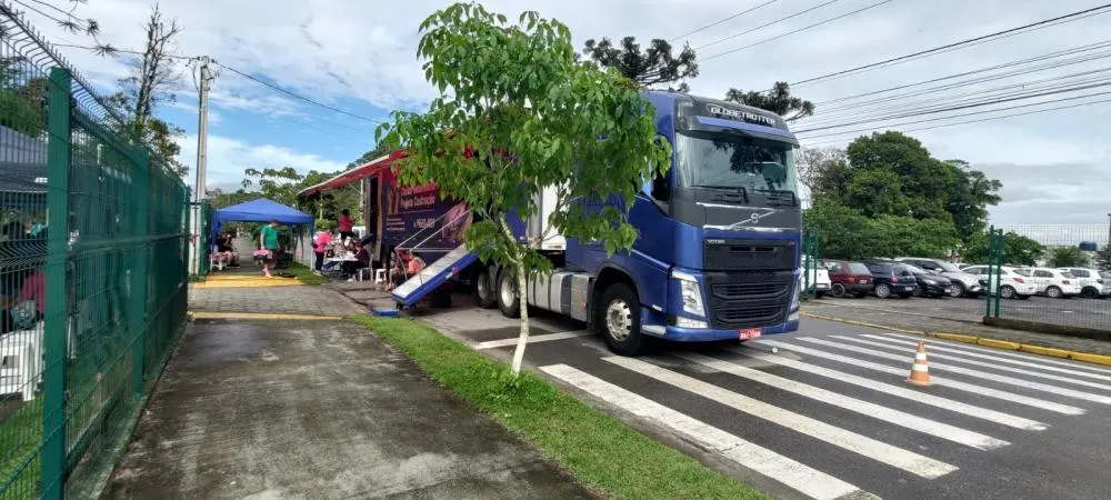 Araquari terá mais de 1,2 mil castrações gratuitas de cães e gatos por meio de programa estadual