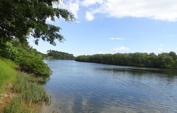 Desaparecido: Homem coloca fogo em colchão, pula janela e se joga em rio no Centro de Araquari