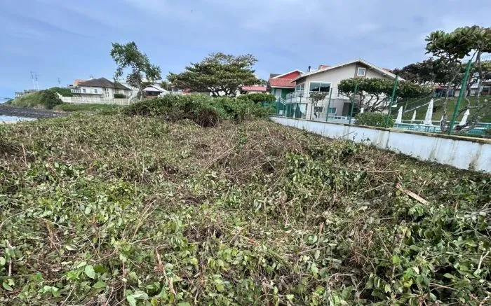 Condomínio é multado por corte de restinga em Barra Velha 