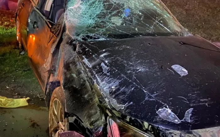 Motorista foge após capotar carro na BR-470 em Navegantes