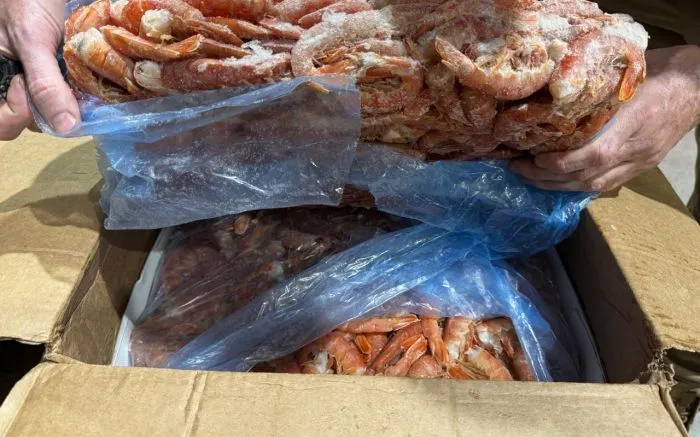 Mais de cinco toneladas de camarão são apreendidas em caminhão sem refrigeração na BR-470 em Indaial