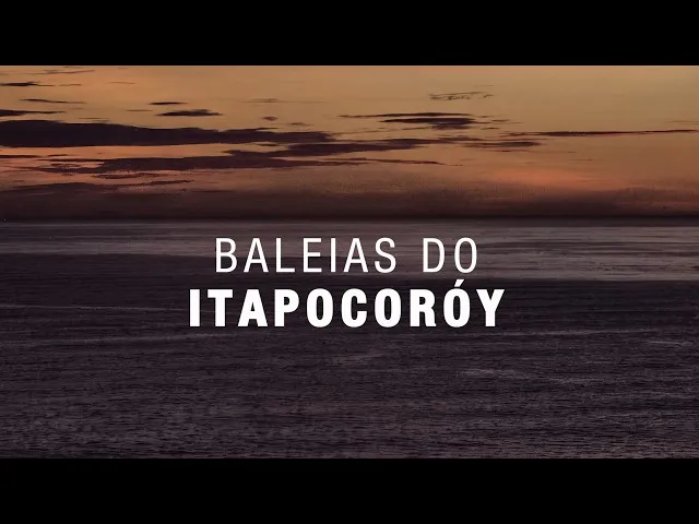 Imagem Ilustrativa