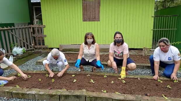 Balneário Piçarras: “Projeto Horta” da Escola São Brás complementa a merenda escolar