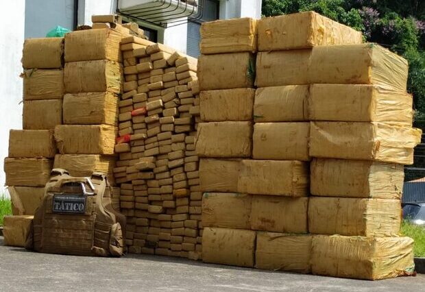 No Quiriri: Polícia apreende cerca de uma tonelada de maconha em Joinville