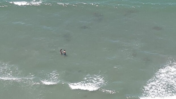 Cardume de raias chama atenção em praia de Balneário Camboriú