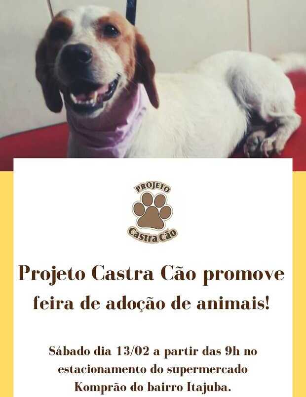 Barra Velha: Projeto Castra Cão promove feirinha de doação de animais no próximo sábado em Itajuba