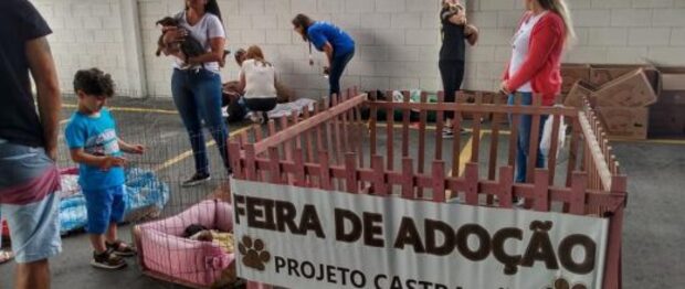 Barra Velha: Feirinha de Adoção de cães a gatos do Projeto Castra Cão foi um sucesso
