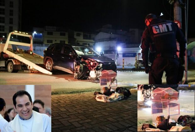 Vinho Batizado: Padre bate em poste da Rua São Paulo em Blumenau e seu bichinho de estimação, um papagaio-maracanã fica ferido
