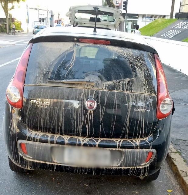 Araquari: Assaltantes que esfaquearam e estrangularam motorista de aplicativo no Porto Grande são presos em Registro