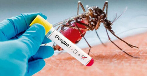 Balneário Piçarras registra dois casos confirmados de dengue