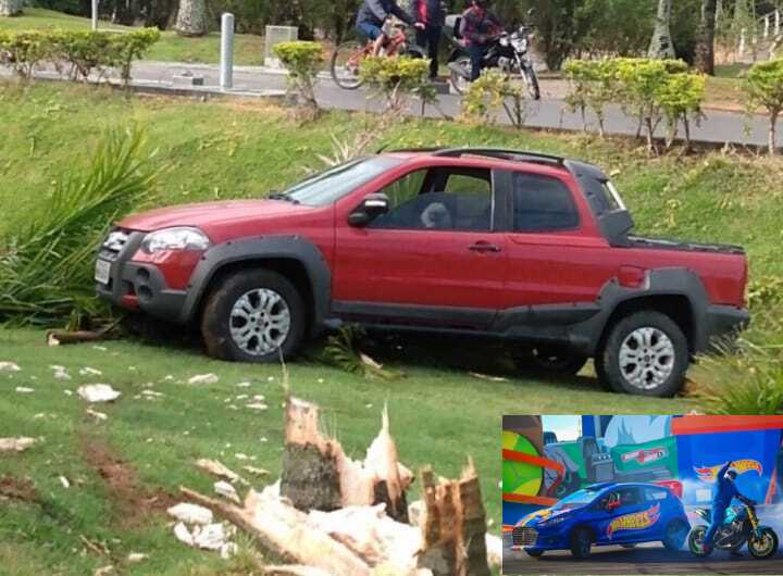 Não foi cachorrada: Motorista perde controle de veículo e bate em duas palmeiras do canteiro da Transbeto em Penha