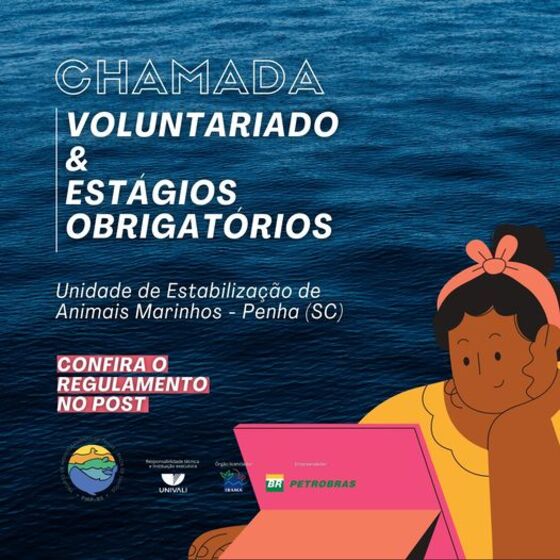 Oportunidade de emprego: Projeto de Monitoramento de Praias da Bacia de Santos unidade de Penha seleciona estagiários