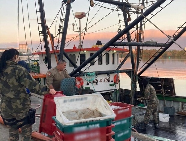 Fura/Defeso: Polícia Militar Ambiental apreende mais de duas toneladas de pescados irregular Navegantes