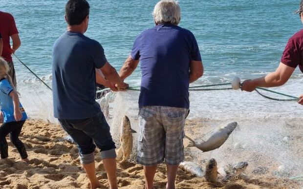 Balneário Camboriú: Pescadores capturaram cerca 600 tainhas na praia do Estaleirinho