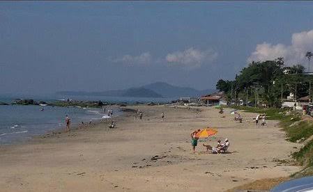 NA ITAJUBA: MORADORES E AMBIENTALISTAS PROMOVEM MUTIRÃO DE PLANTIO DE MUDAS NATIVAS DE RESTINGA NA PRAIA DO GRANT EM BARRA VELHA