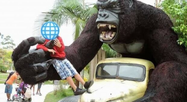 Penha: Criança de 6 anos tem traumatismo craniano após cair de atração no Beto Carrero World