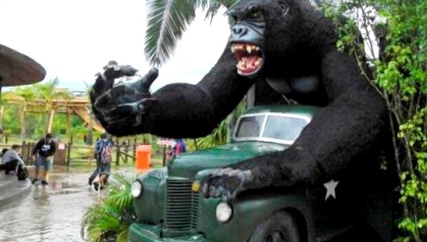 Penha: Hospital Pequeno Anjo divulga novo boletim médico do menino que caiu de estátua do Parque Beto Carrero