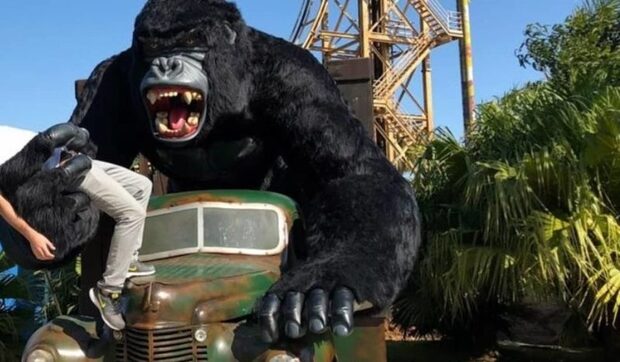 Melhora: Menino que caiu de estátua no Beto Carrero abre os olhos