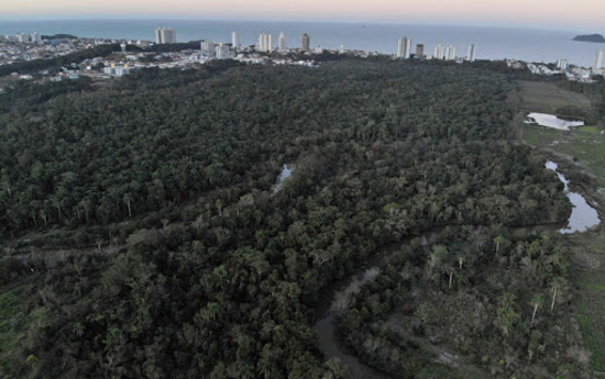 Parque Natural Municipal Rio Piçarras e Plano de Trabalho para elaboração do Plano de Manejo são apresentados em reunião do COMDEMA