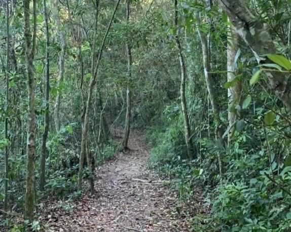 Penha: Tarado ataca mulher e crianças em trilha da praia Vermelha