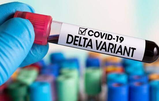Boletim Coronavírus: Santa Catarina registra mais 25 casos da variante Delta e entre eles casos em Penha e Balneário Piçarras