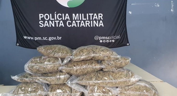 Homem é preso com cinco quilos skunk em Balneário Camboriú