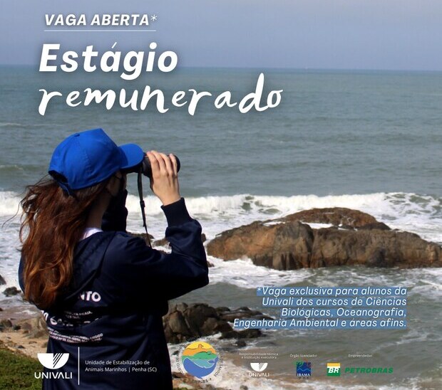 Oportunidade: Univali abre inscrições para estágio remunerado na Unidade de Estabilização de Animais Marinhos de Penha