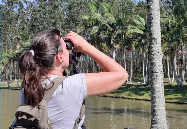 Ecoturismo: Roteiro de Observação de Aves será lançado na Costa Verde & Mar